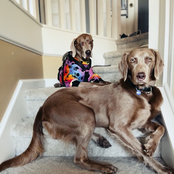 Next live 11/25/25 guest CO HOST W/ @MAF123 - Picture 4 of 16